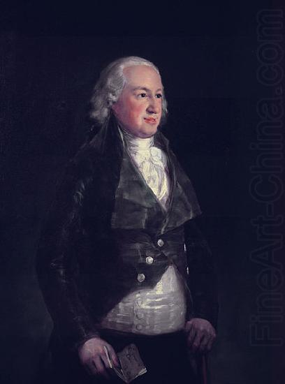 Don Pedro de alcantara Tellez Giron, The Duke of Osuna, Francisco de Goya